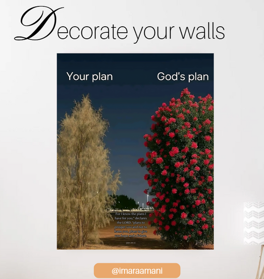 God's Plan Jer 29:11 (Poster Only)