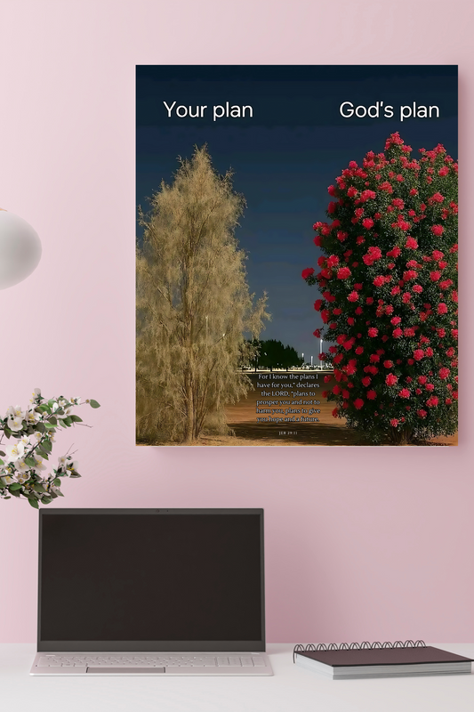 God's Plan Jer 29:11 (Poster Only)